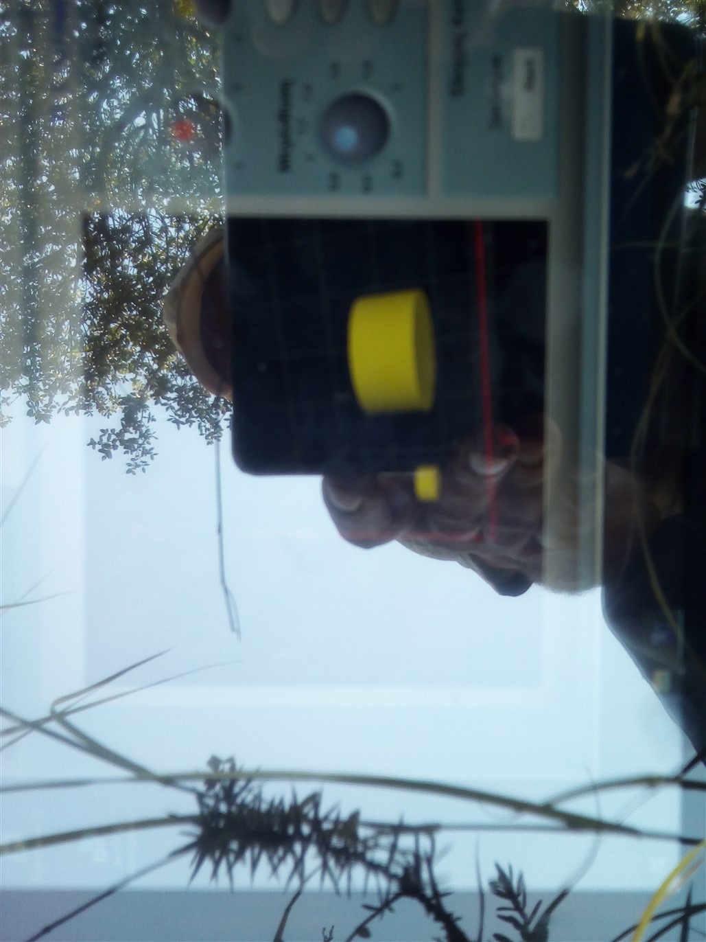 0_1534706792193_a (1029 x 1372).jpg